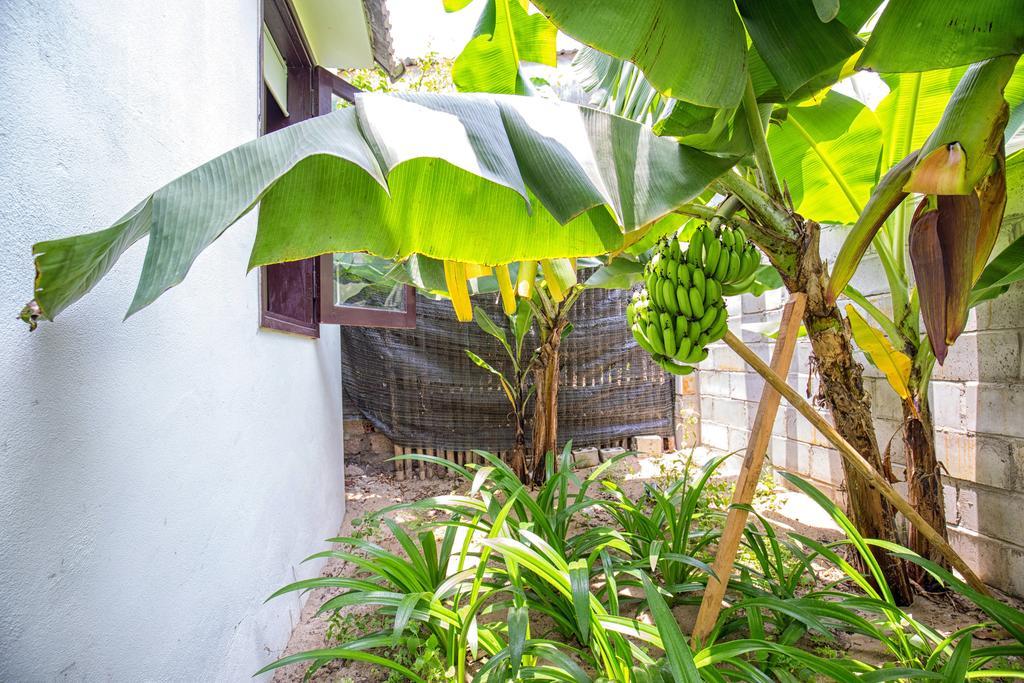 Red Flower Cottages Homestay Hoi An Exterior foto